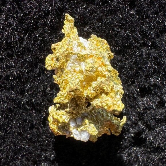 California Native Gold Crystal - 0.64 grams - Picture 1 of 3